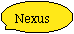 Oval Callout: Nexus